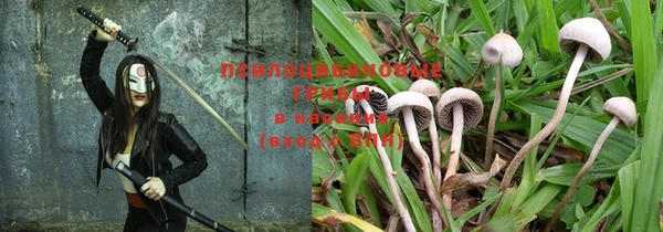 PSILOCYBIN Баксан