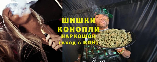 PSILOCYBIN Баксан